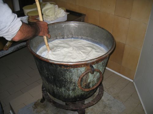 scuola di formaggio-1.JPG